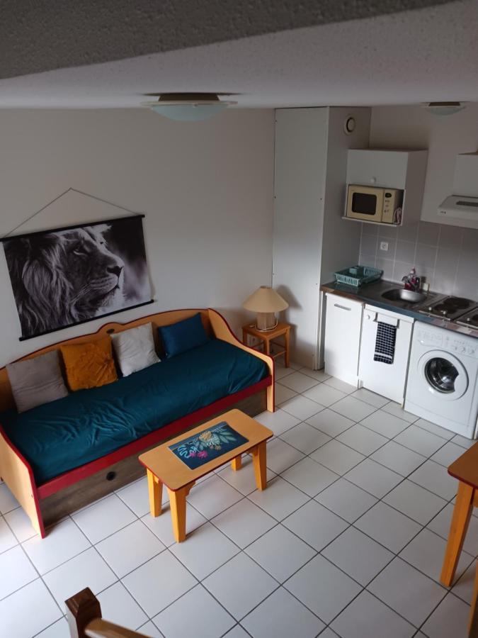 T3 La Savane Saint Geniez D'Olt 2 Piscines Chauffees Dans Une Charmante Residence De Vacances Ngoại thất bức ảnh